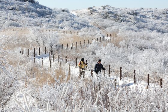 [오늘의 날씨] 광주·전남(28일, 토)…영하권 추위 '최대 10㎝' 눈