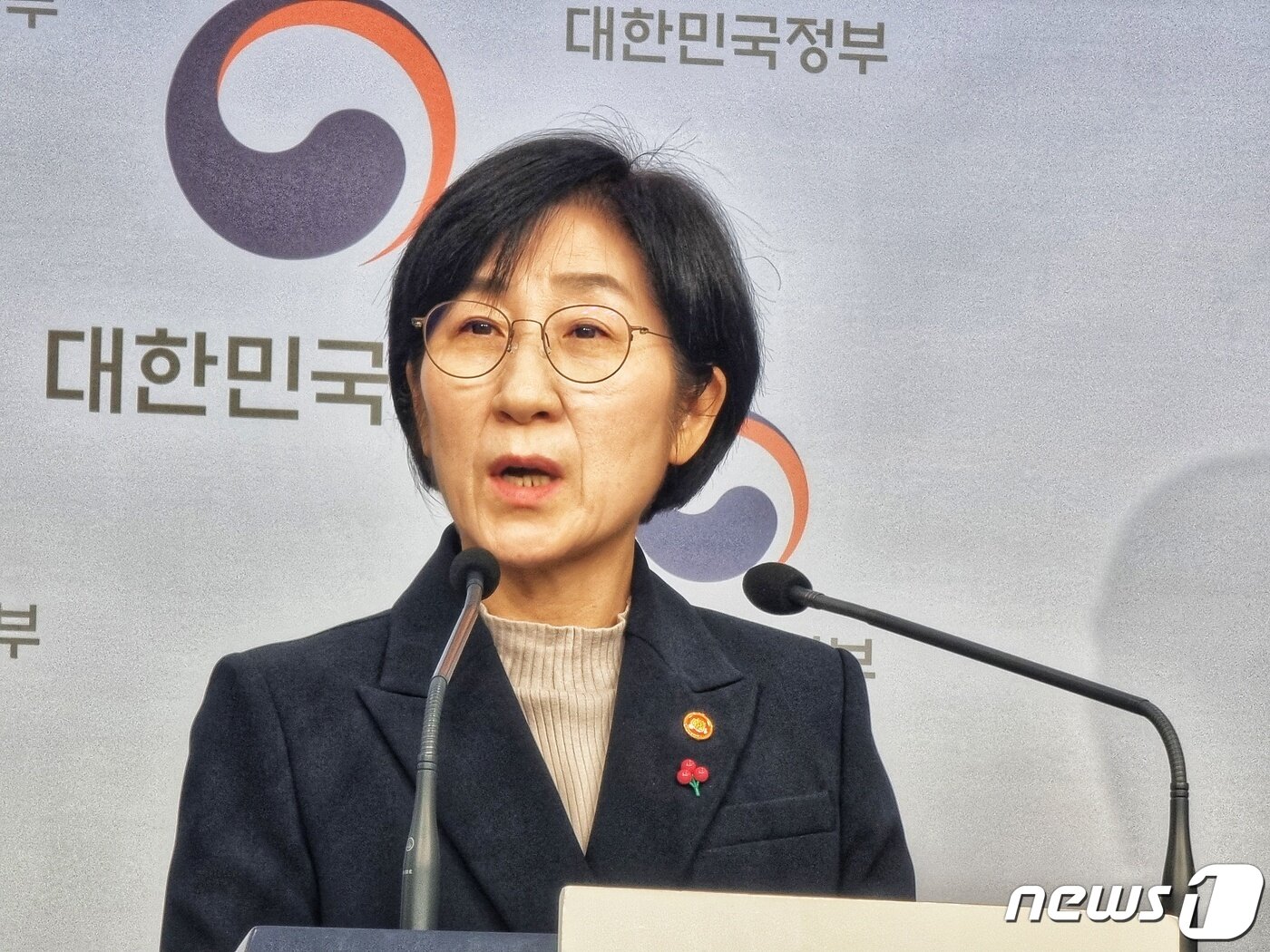 본문 이미지 - 한화진 환경부 장관이 윤석열 대통령 업무보고에 앞서 지난 25일 서울 종로구 정부서울청사에서 열린 사전 브리핑에서 질문에 응답하고 있다. ⓒ 뉴스1