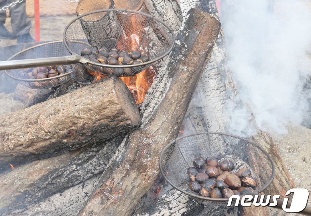 군밤 축제장 모습./뉴스1