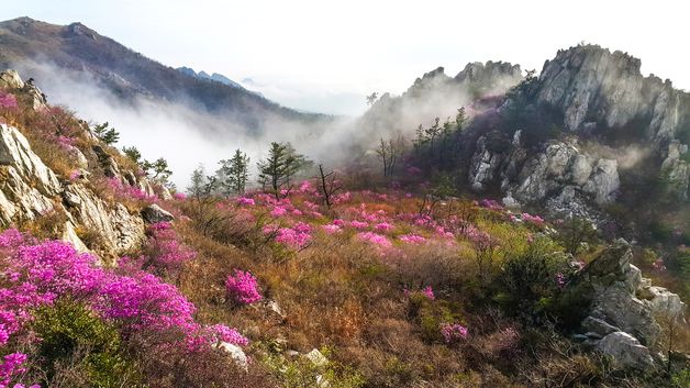 강진 주작산에 산림레포츠 시설 조성…2027년 완성