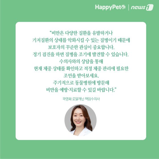 본문 이미지 - 비만 방지 펫카드 ⓒ 뉴스1
