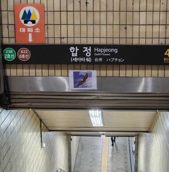 본문 이미지 - 합정역 출구 붙여져 있어 많은 시민들에게 궁금증을 안겼던 독수리 사진 정체가 밝혀졌다. X 갈무리
