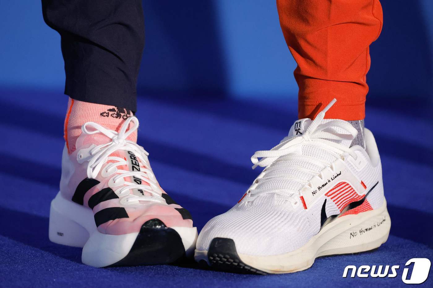 본문 이미지 - 다양한 종류의 러닝화의 모습. ⓒ AFP=뉴스1