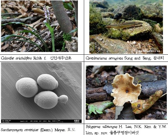 주요 생물종 사진.&#40;국립생물자원관 제공&#41;