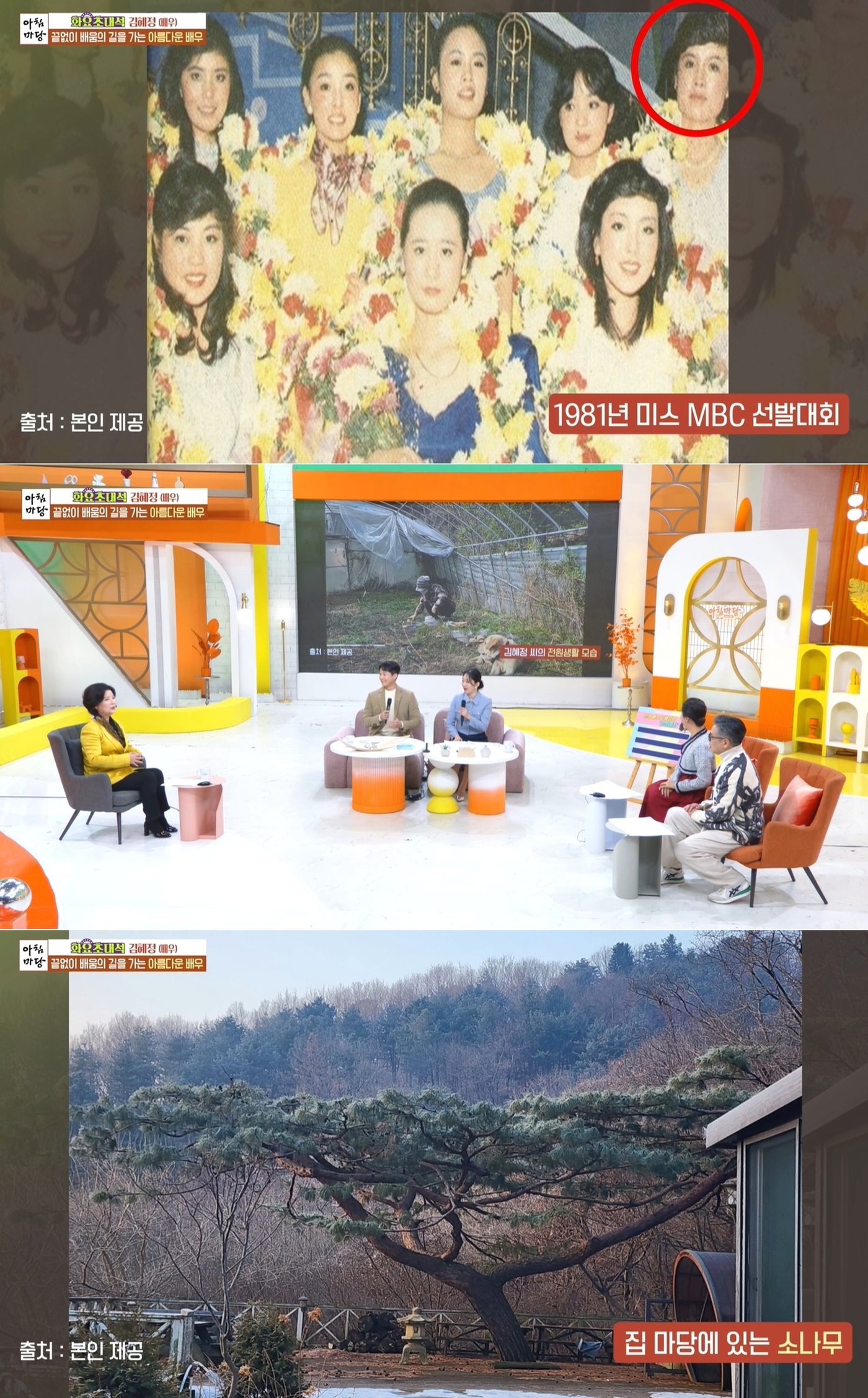 본문 이미지 - KBS1 '아침마당' 방송 화면 갈무리