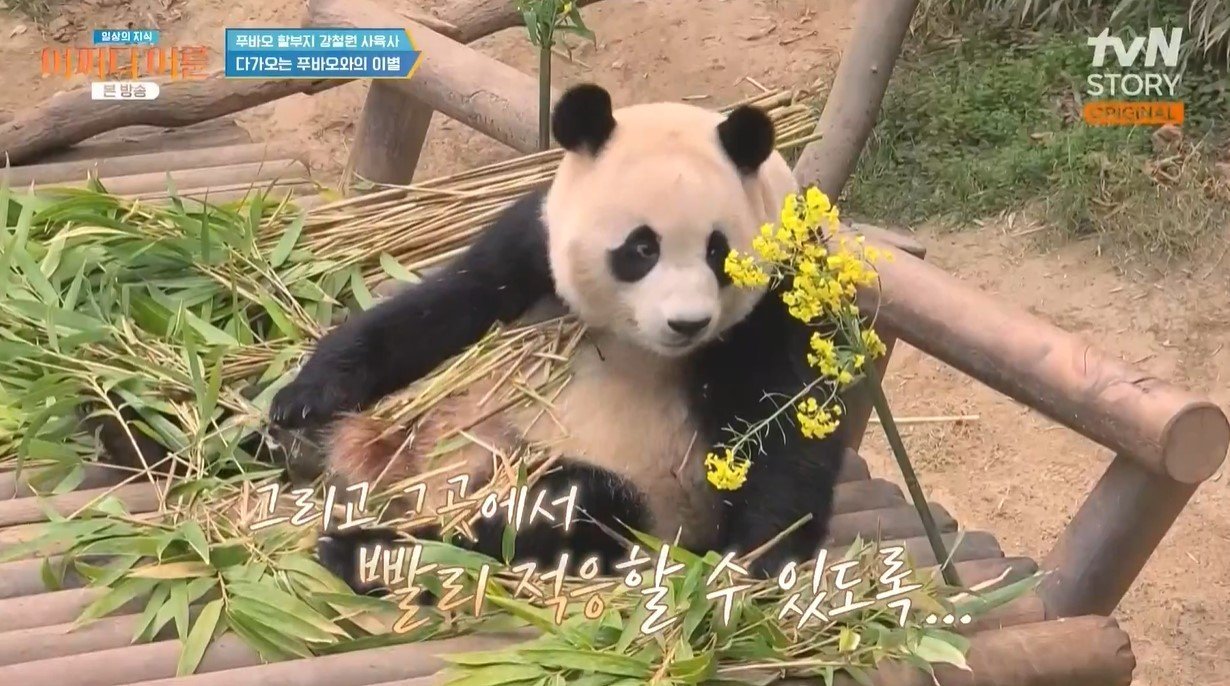 본문 이미지 -  (tvN STORY '어쩌다 어른')