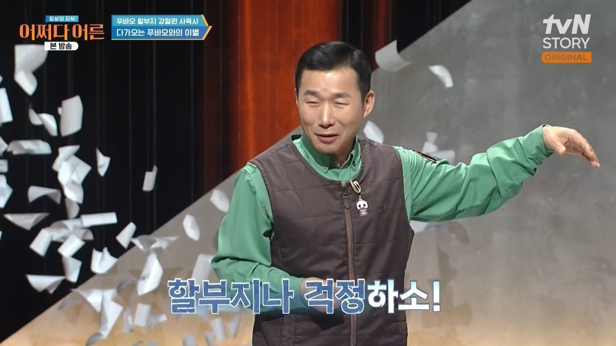 본문 이미지 -  (tvN STORY '어쩌다 어른')