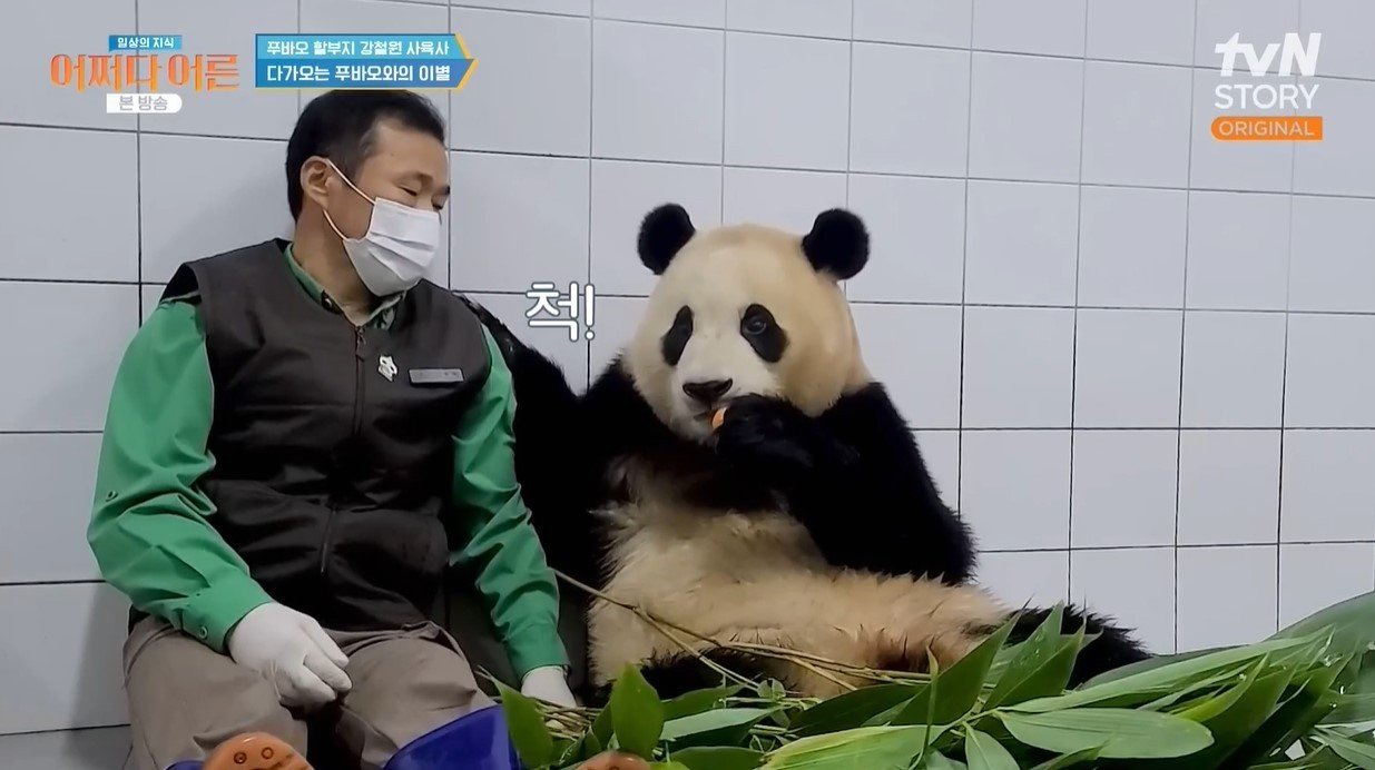 본문 이미지 -  (tvN STORY '어쩌다 어른')