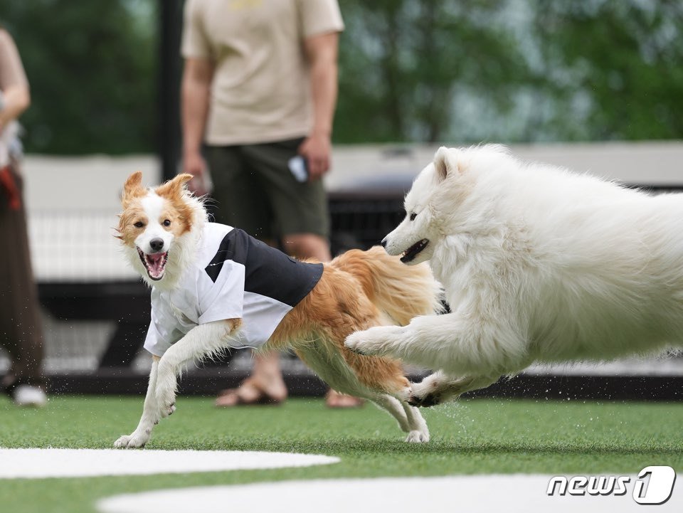본문 이미지 - 켄싱턴리조트 충주 부총지배인 케니.(켄싱턴호텔앤리조트제공)