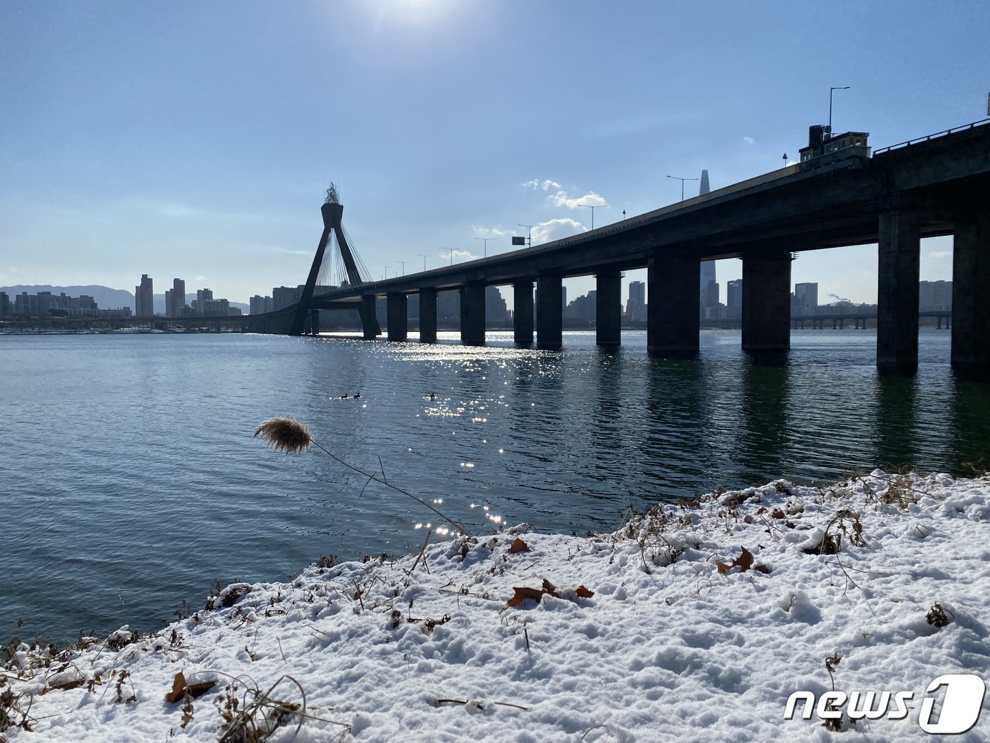 (서울=뉴스1) 이기범 기자 = 6일 오후 서울 광진구 올림픽대교 인근 한강에서 시신이 발견돼 경찰이 수사에 나섰다. 발견된 시신은 경기도 이천시에 거주하는 30대 여성으로 확인됐 …