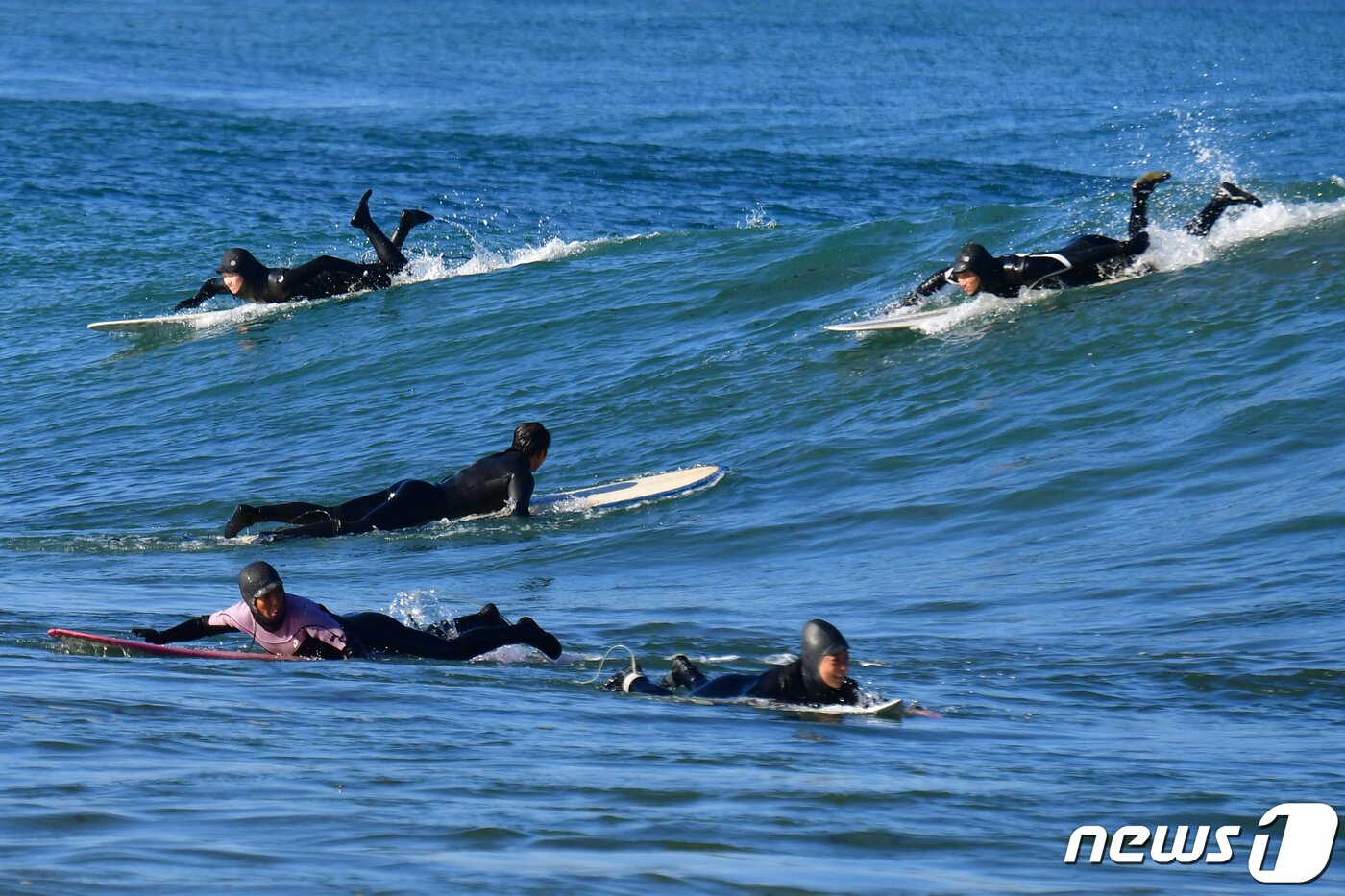본문 이미지 - 경북 포항시 북구 흥해읍 용한리 해안에서 서퍼들이 파도를 타고 있는 모습. (뉴스1 자료)  ⓒ News1 최창호 기자