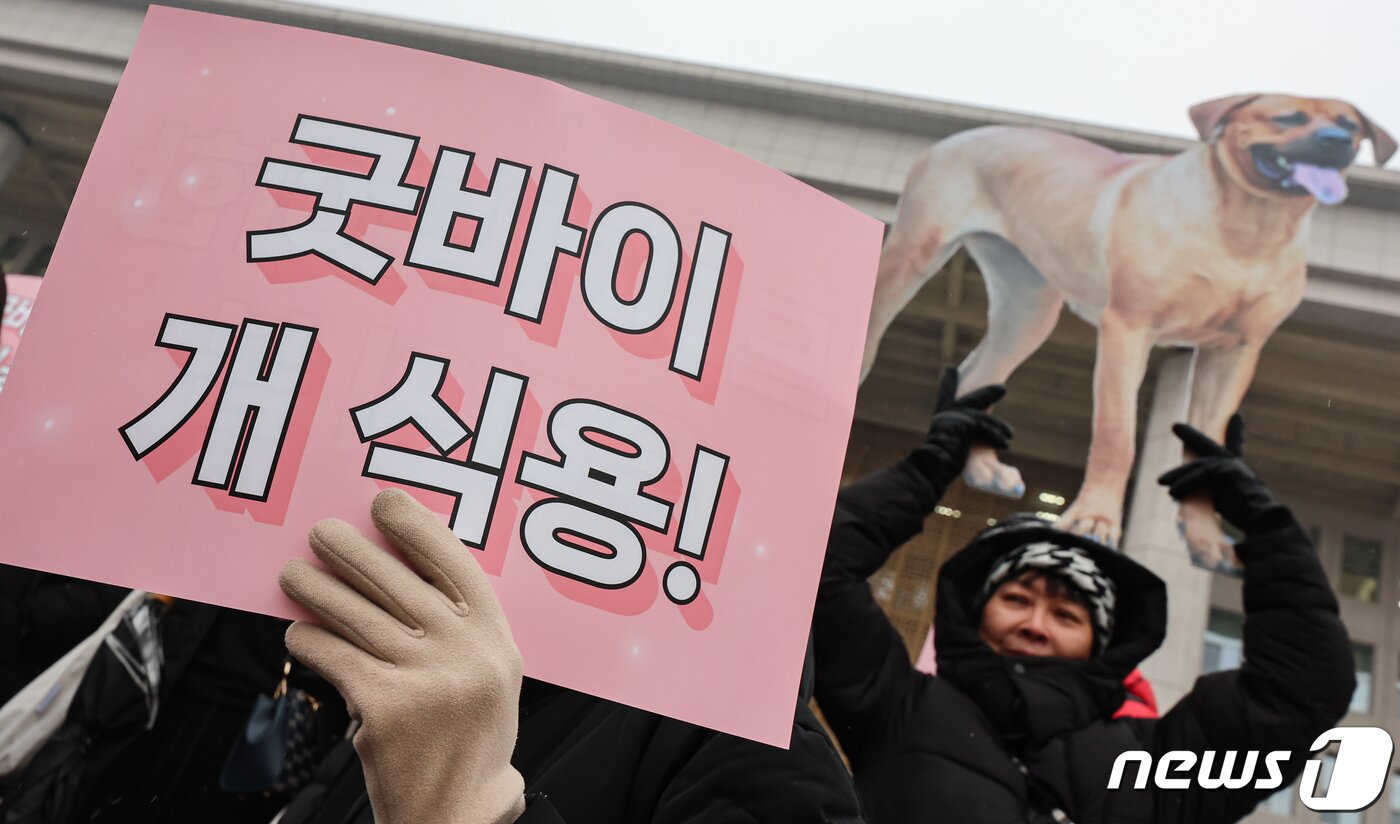 본문 이미지 - 개 식용 종식을 위한 국민행동 활동가들이 지난 1월 9일 서울 여의도 국회 본관 계단 앞에서 개식용 종식 특별법 제정 환영 기자회견을 하고 있다. 국회는 이날 본회의에서 &#39;개의 식용 목적의 사육·도살 및 유통 등 종식에 관한 특별법&#39; 제정안을 의결했다. 2024.1.9/뉴스1 ⓒ News1 김도우 기자