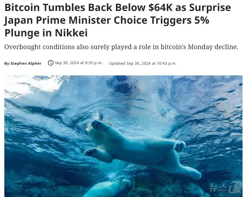 본문 이미지 - 해당 기사 - 코인데스크 갈무리