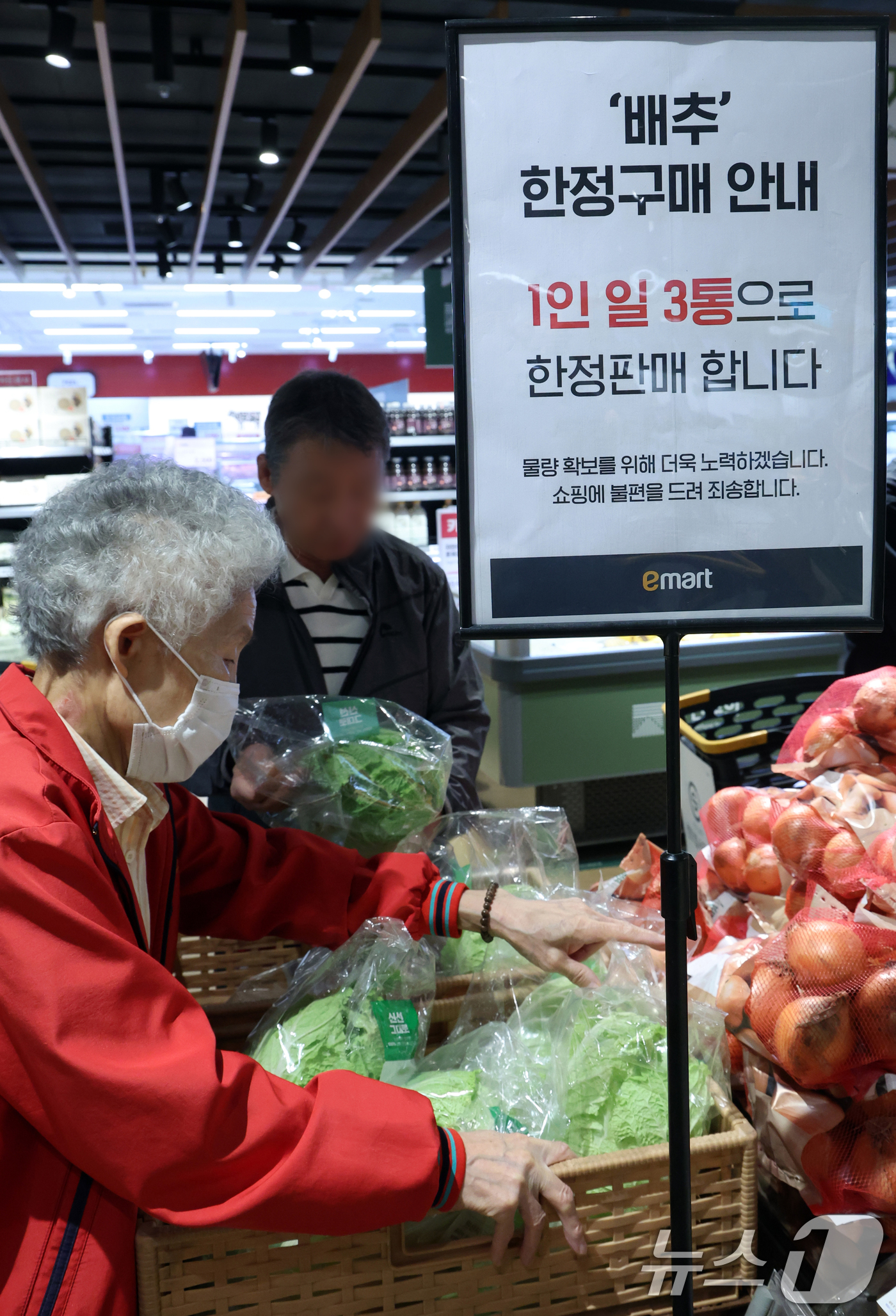 (서울=뉴스1) 김명섭 기자 = 1일 서울 한 대형마트에서 시민들이 배추 등 야채를 고르고 있다.올해 폭염으로 배춧값이 큰 폭으로 오른 가운데 일부 대형마트가 이날 부터 김장용 절 …