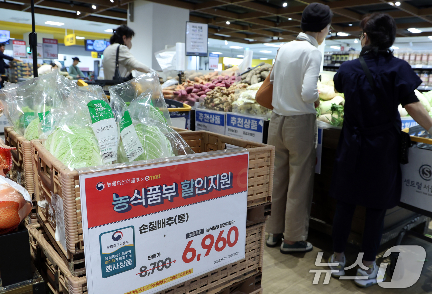 (서울=뉴스1) 김명섭 기자 = 1일 서울 한 대형마트에서 시민들이 배추 등 야채를 고르고 있다.올해 폭염으로 배춧값이 큰 폭으로 오른 가운데 일부 대형마트가 이날 부터 김장용 절 …