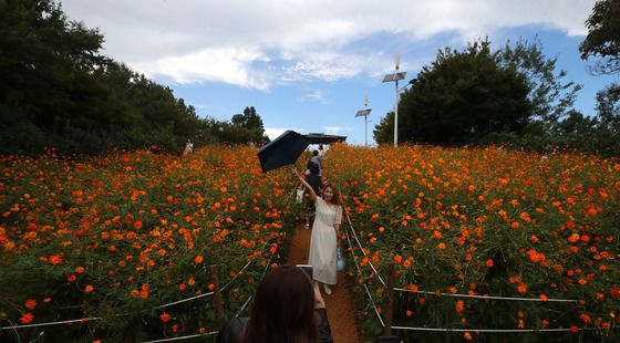 "출근길 외투 챙기세요"…서울 아침 기온 10도 '뚝'[오늘날씨]