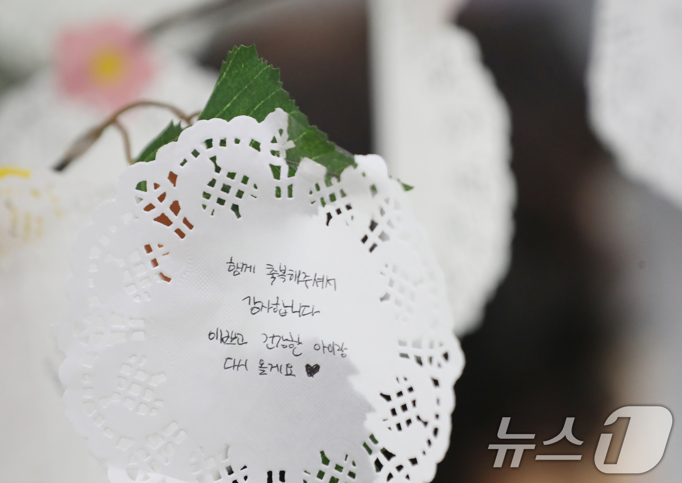 (수원=뉴스1) 김영운 기자 = 임산부의 날인 10일 경기 용인시 수지구보건소에 산모들이 곧 태어날 아이들에게 적은 메모들이 걸려있다. 2024.10.10/뉴스1