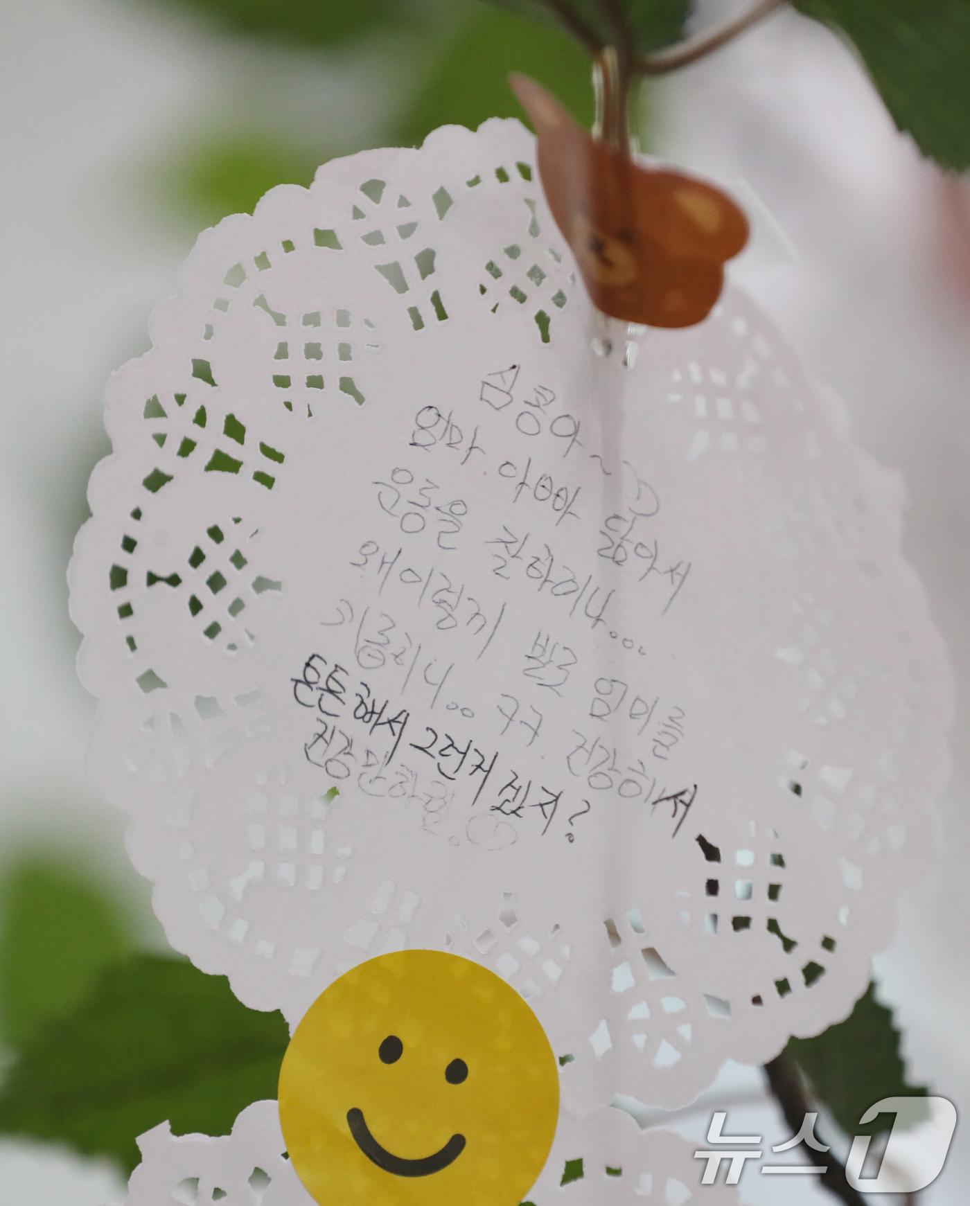 (수원=뉴스1) 김영운 기자 = 임산부의 날인 10일 경기 용인시 수지구보건소에 산모들이 곧 태어날 아이들에게 적은 메모들이 걸려있다. 2024.10.10/뉴스1