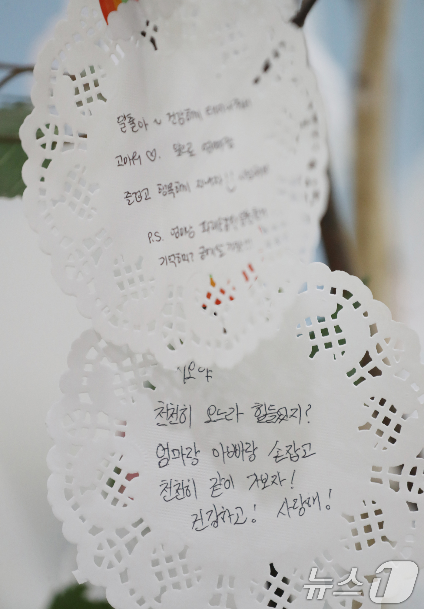 (수원=뉴스1) 김영운 기자 = 임산부의 날인 10일 경기 용인시 수지구보건소에 산모들이 곧 태어날 아이들에게 적은 메모들이 걸려있다. 2024.10.10/뉴스1