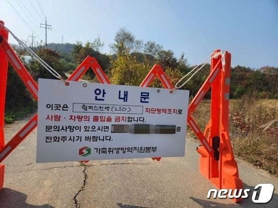 양양 한우농장서 '럼피스킨' 추가 확진…올해 도내 4번째