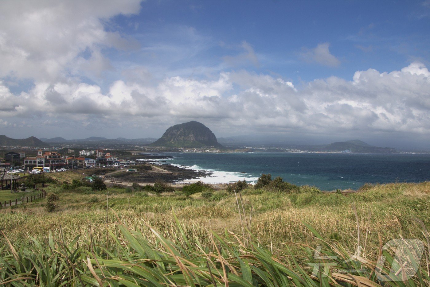 본문 이미지 - 송악산을 오르는 길에 바라본 산방산ⓒ News1 윤슬빈 기자