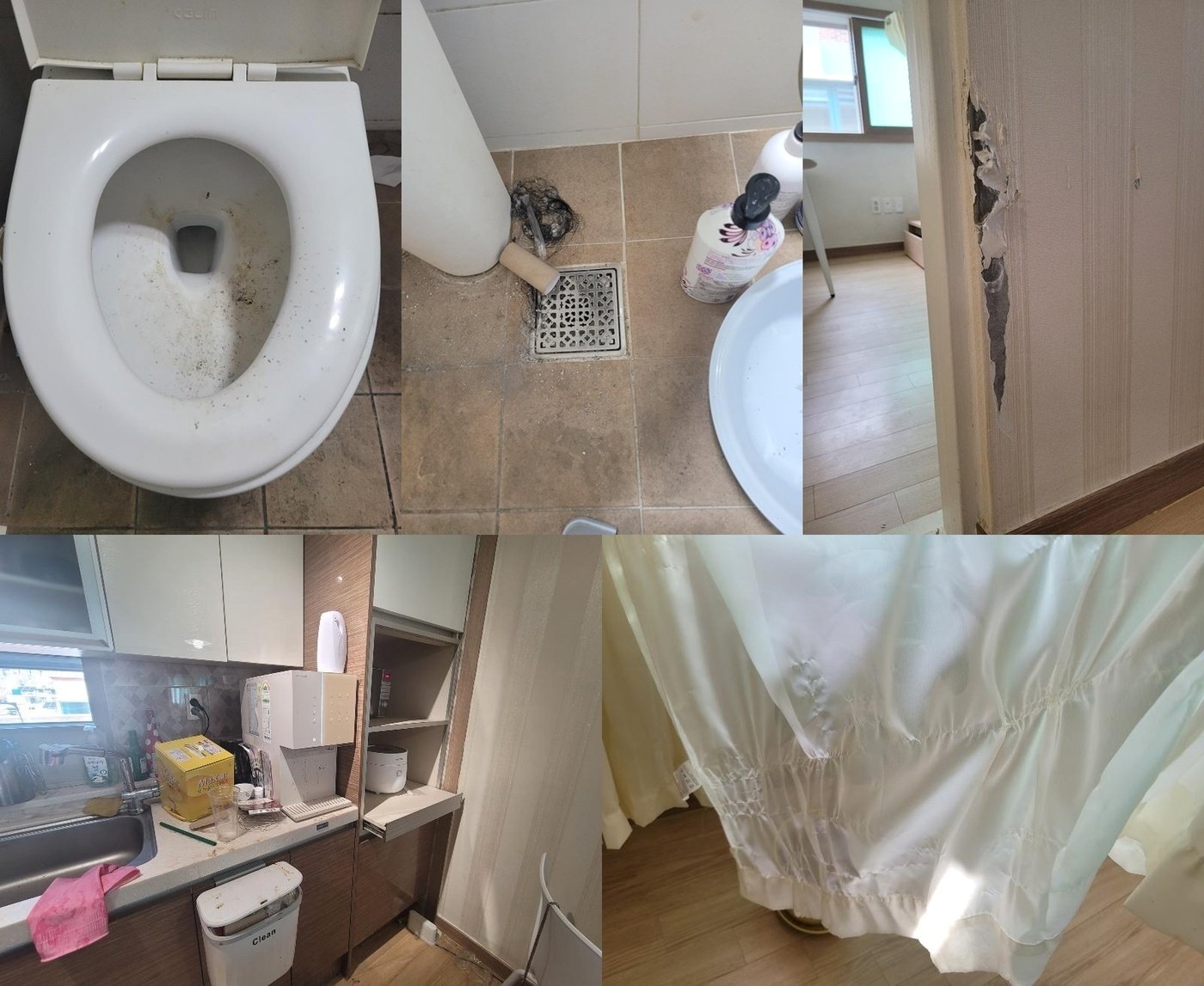 본문 이미지 - (보배드림 갈무리)