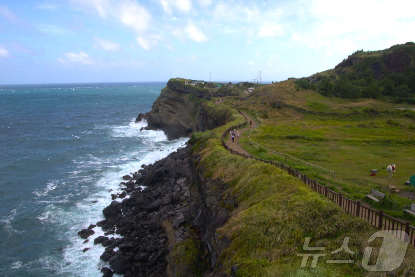 본문 이미지 - 송악산 해안 둘레길ⓒ News1 윤슬빈 기자