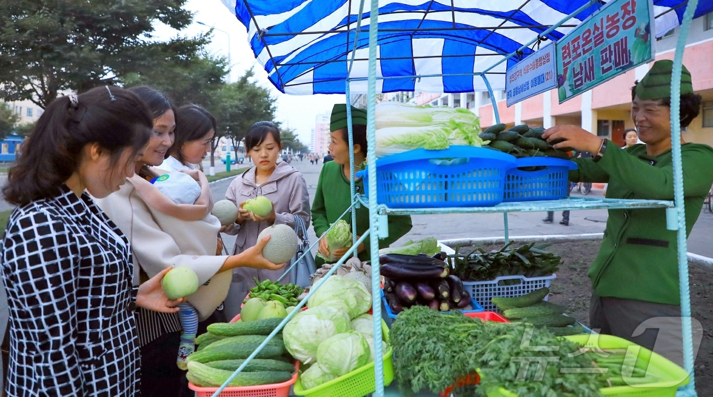 (평양 노동신문=뉴스1) = 북한 노동당 기관지 노동신문은 11일 "당의 은정 속에 대규모 남새(채소) 생산기지로 훌륭히 일떠선 연포온실농장에서 맛좋고 영양가 높은 갖가지 남새들을 …