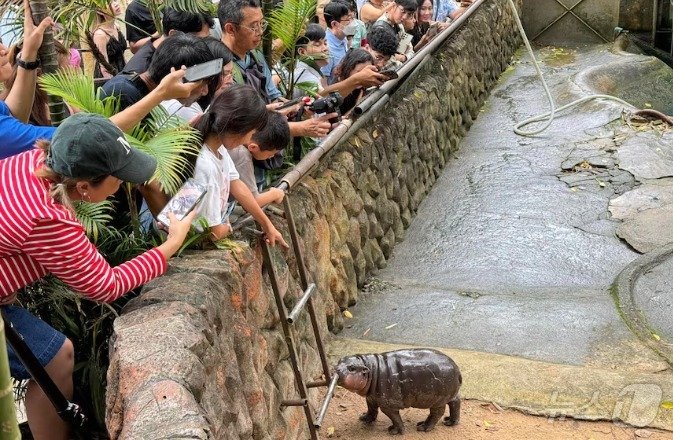본문 이미지 - 무뎅 관람객들이 문전성시를 이루고 있다. - 페북 갈무리