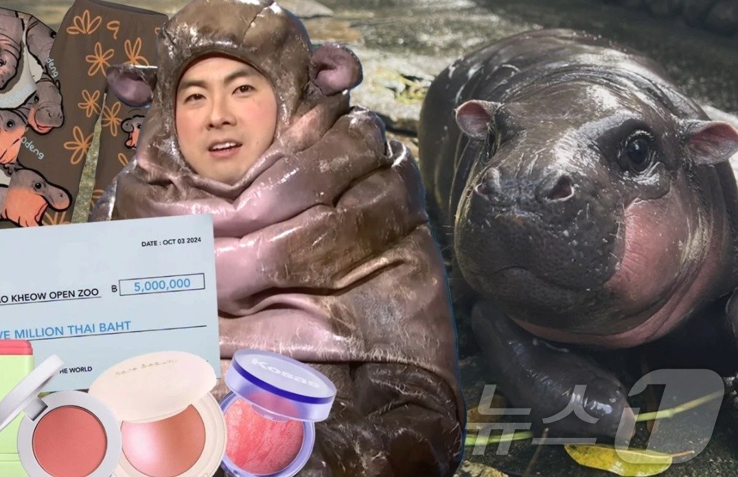 본문 이미지 - 무뎅 관련 패러디 - 틱톡 갈무리 