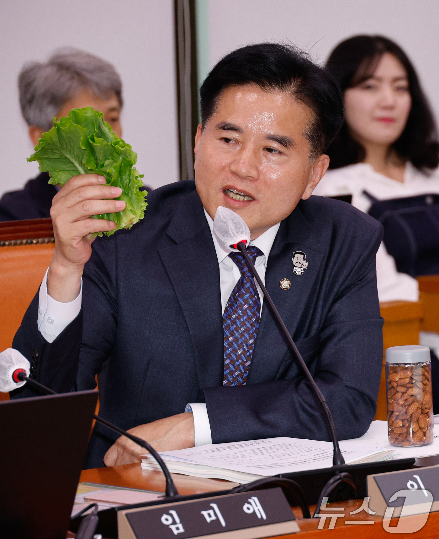 (서울=뉴스1) 안은나 기자 = 이병진 더불어민주당 의원이 11일 오후 서울 여의도 국회 농림축산식품해양수산위원회에서 열린 농촌진흥청 등 국정감사에서 상추, 아몬드, 벌꿀을 놓고 …