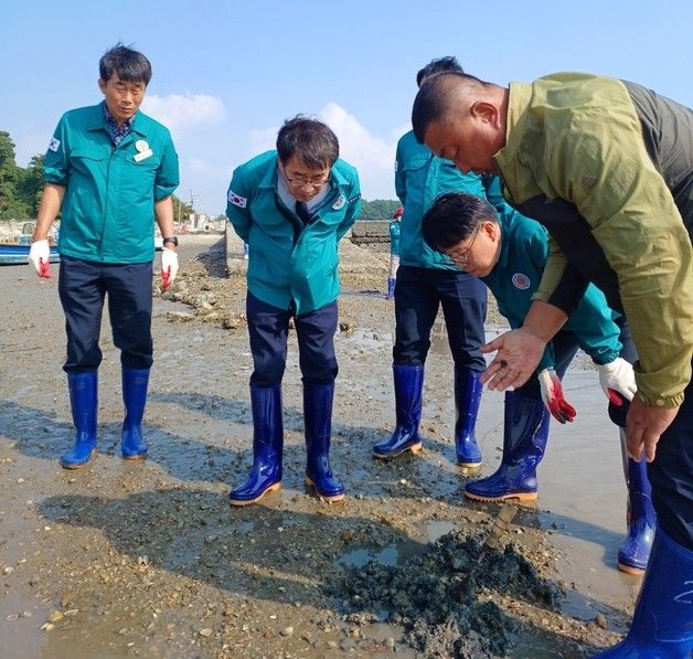 충남도 '서산 바지락 집단폐사' 어민 피해복구 나서