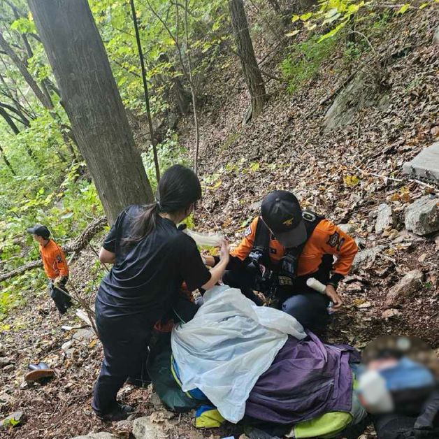 버섯 따다 넘어져 크게 다친 60대 여성 소방헬기로 병원 이송