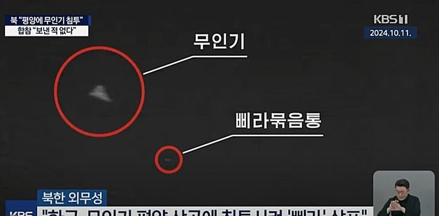 전문가 "軍 무인기라면 평양 가면서 北에 들킬 가능성 없어"