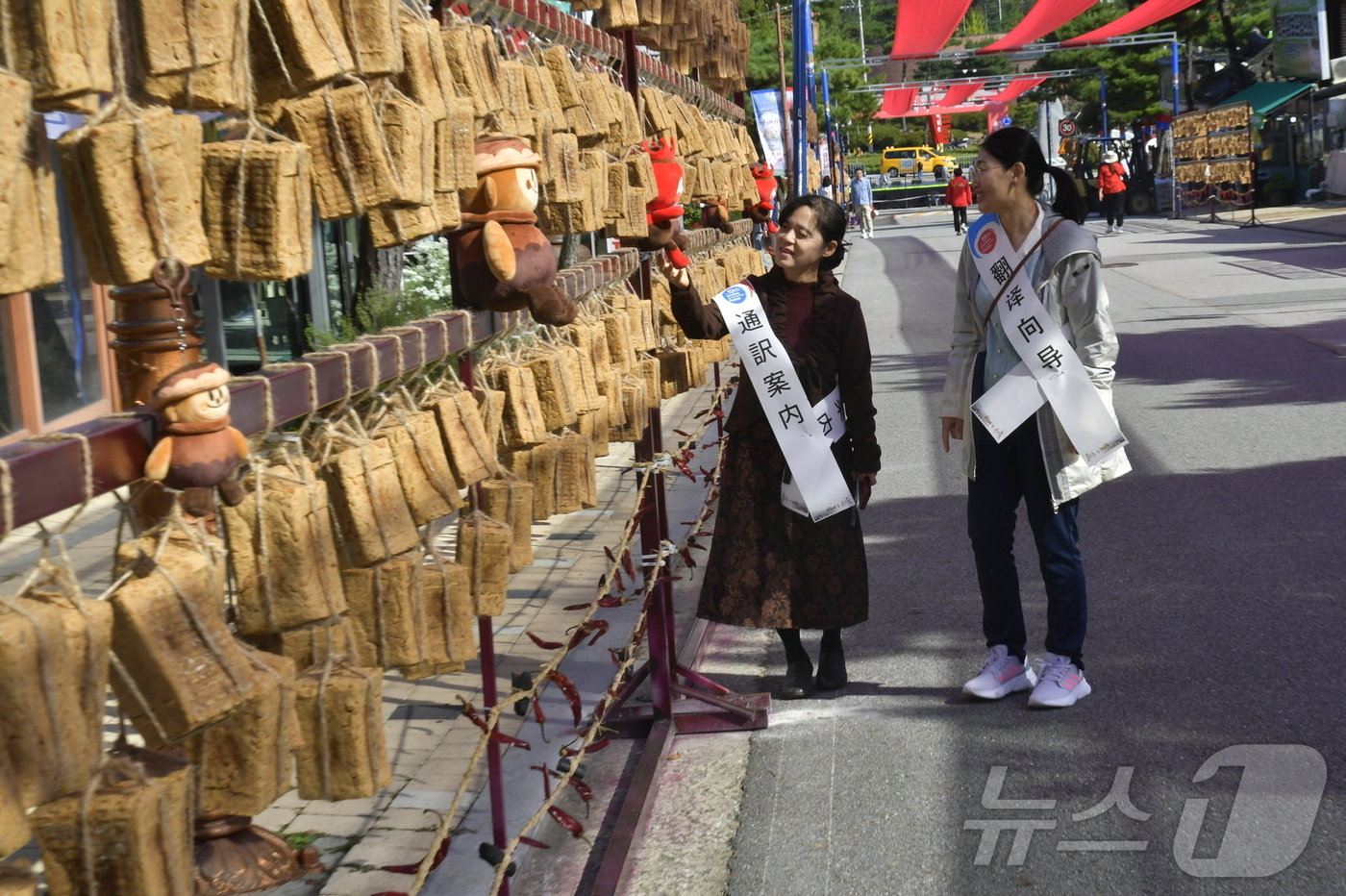 지난 11일부터 제19회 순창장류축제가 전북자치도 순창군 고추장민속마을과 발효테마파크에서 펼쳐지고 있는 가운데 고추장, 간장, 된장 등의 주 원료인 메주가 대량 전시돼 있다.&#40;순창군 제공&#41;/뉴스1