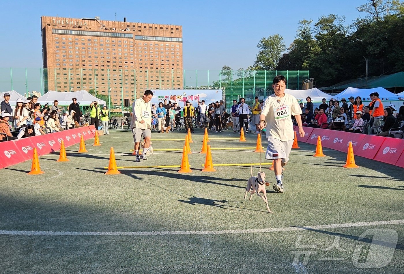 &#39;2024 중구 해피투개더 반려견 축제&#39;가 12일 서울 동국대학교에서 열렸다. ⓒ 뉴스1 최서윤 기자