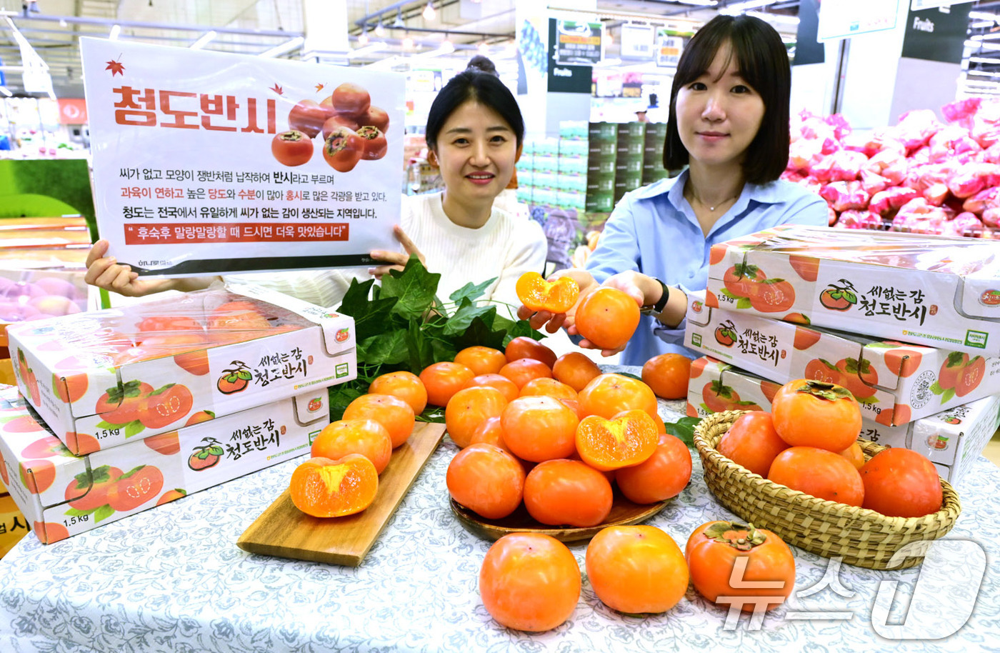 (서울=뉴스1) 박지혜 기자 = 13일 서울 서초구 하나로마트 양재점에서 모델들이 가을에만 맛볼 수 있는 '청도 반시'를 선보이고 있다. (농협유통 제공) 2024.10.13/뉴스 …