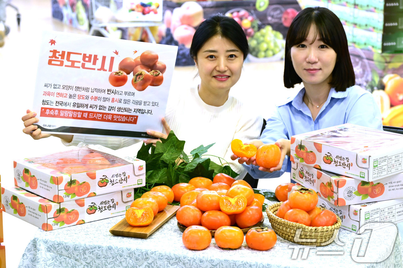 (서울=뉴스1) 박지혜 기자 = 13일 서울 서초구 하나로마트 양재점에서 모델들이 가을에만 맛볼 수 있는 '청도 반시'를 선보이고 있다. (농협유통 제공) 2024.10.13/뉴스 …