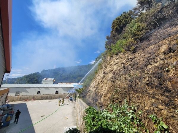 경남 통영시 산양읍서 산불…1시간 20여분만에 진화(종합)