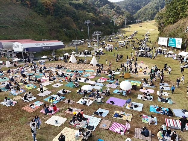 강원도에 몰린 '빵지순례자'…춘천·횡성에 가을손님 '빵빵'