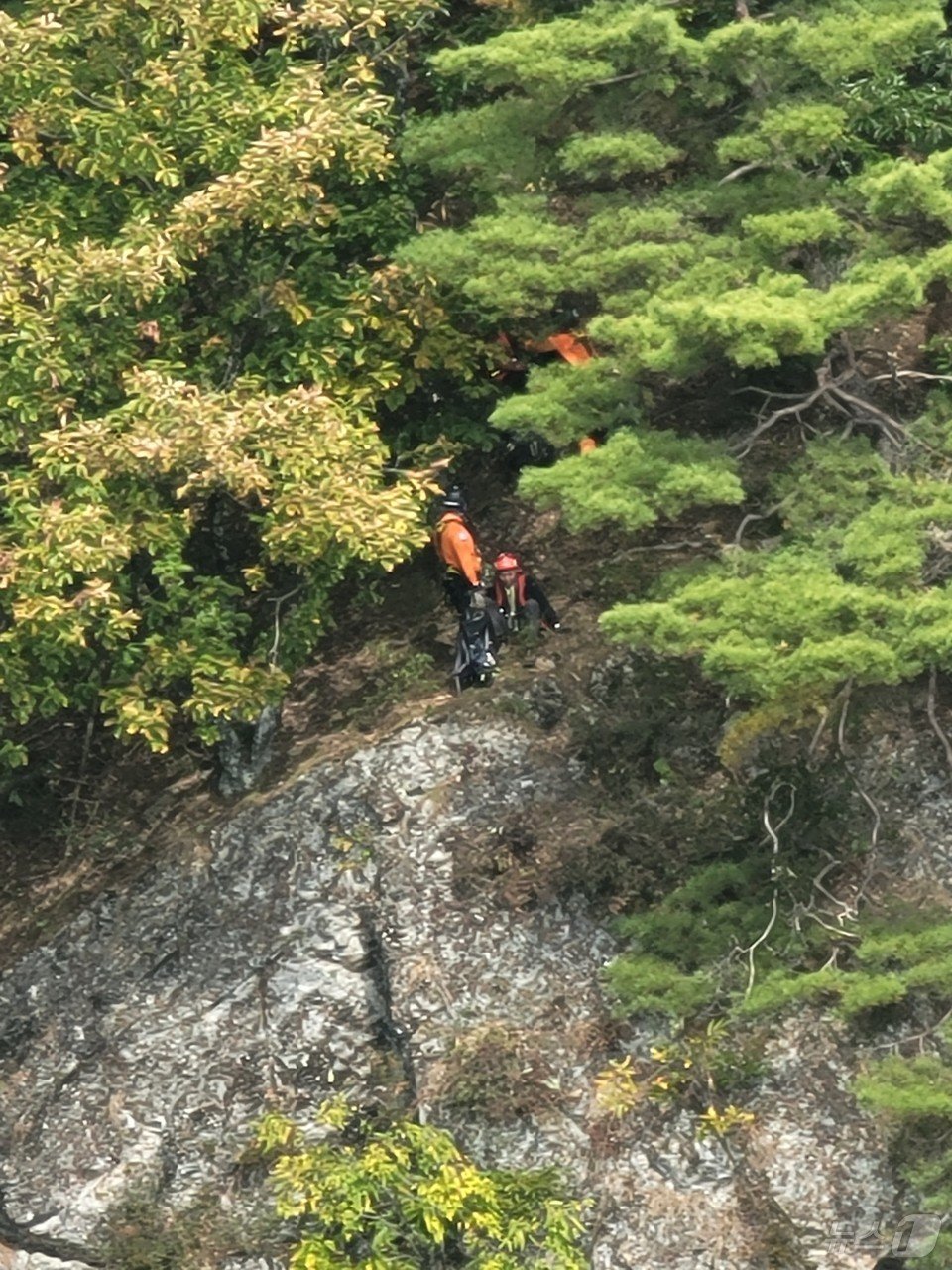 13일 오전 영월 완택산 조난자를 구조하는 소방.&#40;강원도소방본부 제공&#41; 2024.10.13/뉴스1