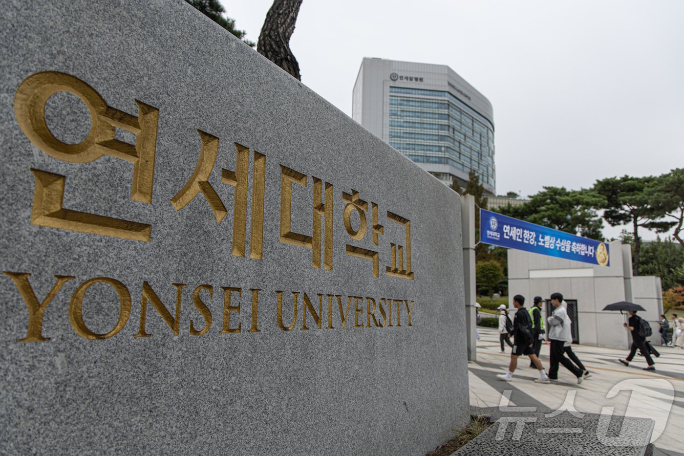 본문 이미지 - 서울 서대문구 연세대학교의 모습. /뉴스1 ⓒ News1 이재명 기자