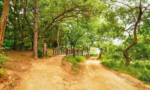 발끝으로 자연과 교감…대전 '맨발 걷기' 가볼만한 곳