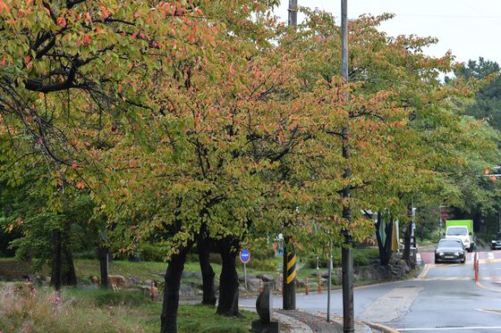 16일 낮 최고 28도 일교차 큰 날씨…전국 곳곳 짙은 안개(종합)