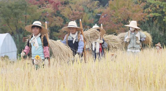 지게로 벼 나르는 아이들