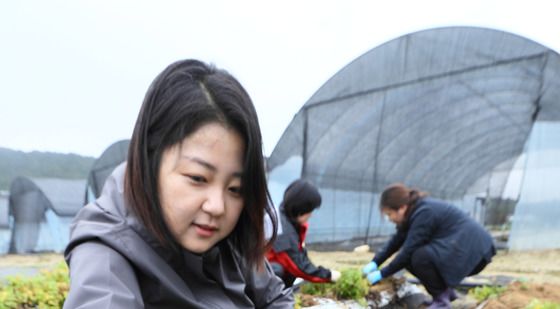 저온성 필름 재배로 생산량 높아진 '천궁'