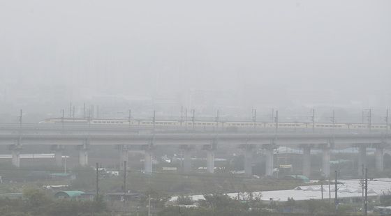 광주·전남 곳곳 가시거리 200m 짙은 안개…광주·여수공항 저시정경보