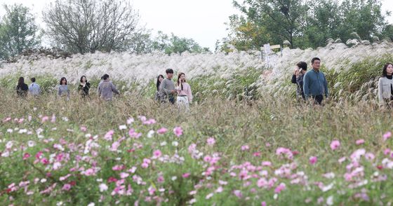 주말아침 기온 '뚝'…강원 '살얼음' 고산 '첫눈' 가능성