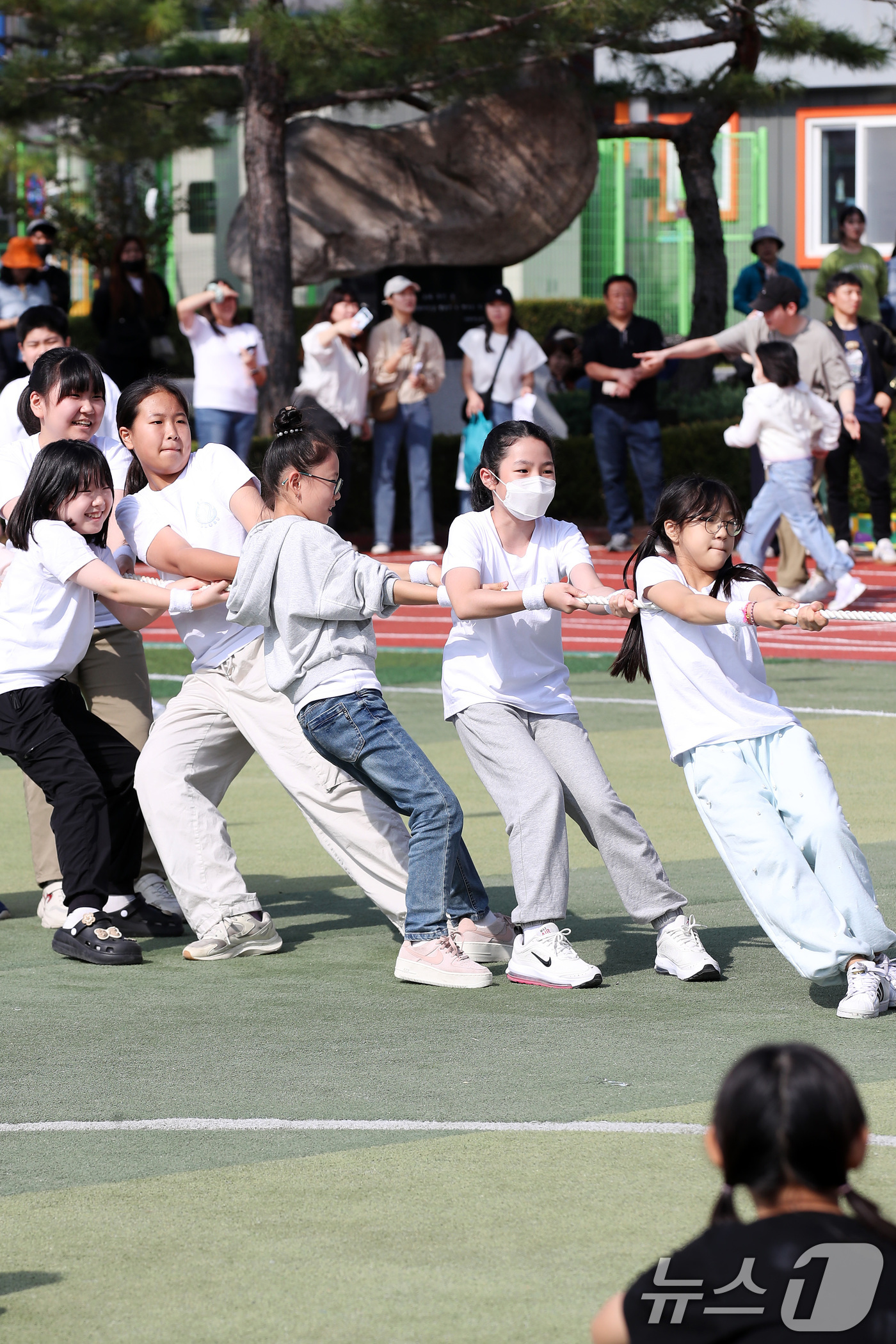 (경산=뉴스1) 공정식 기자 = 16일 오전 경북 경산서부초등학교 운동장에서 열린 가을운동회 '2024학년도 경산서부 라온한마당'에 참여한 학생들이 줄다리기를 하고 있다. 2024 …