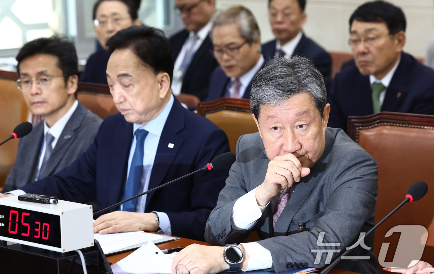 (서울=뉴스1) 김민지 기자 = 차순도 한국보건산업진흥원장이 17일 오전 서울 여의도 국회 보건복지위원회에서 열린 한국보건산업진흥원, 한국건강증진개발원, 국립암센터 등에 대한 국정 …